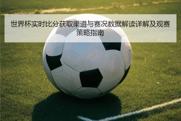 shi-jie-bei-shi-shi-bi-fen-huo-qu-qu-dao-yu-sai-kuang-shu-ju-jie-du-xiang-jie-ji-guan-sai-ce-lve-zhi-nan-2-456.jpg
