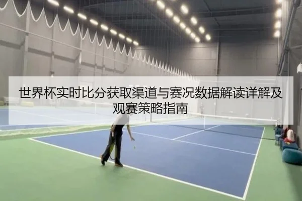 世界杯实时比分获取渠道与赛况数据解读详解及观赛策略指南